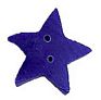 True Blue Extra Large Star